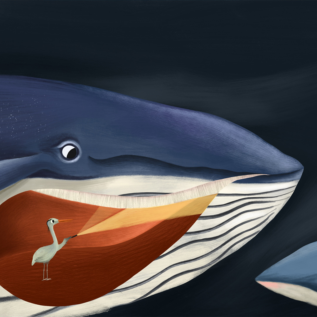 AYO | Büyük Mavi Balıkçıl ve Gök Balina 4